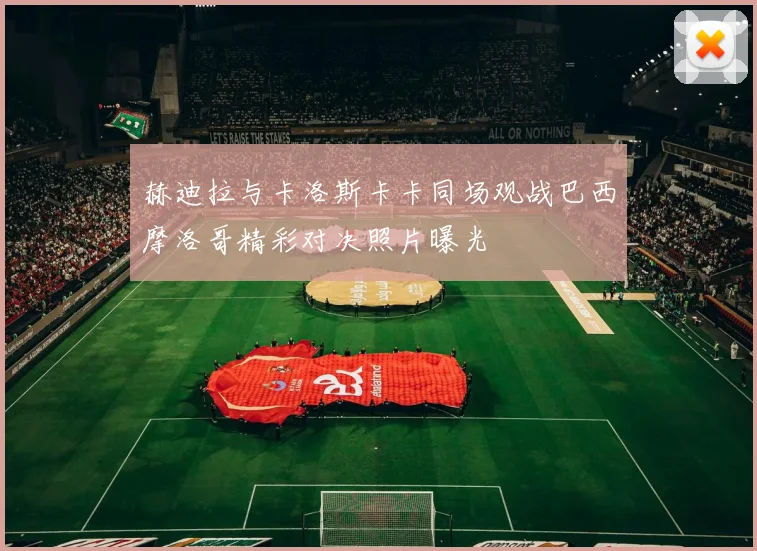 赫迪拉与卡洛斯卡卡同场观战巴西摩洛哥精彩对决照片曝光